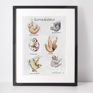 Sloths of the World A4 Bamboo Print Unframed