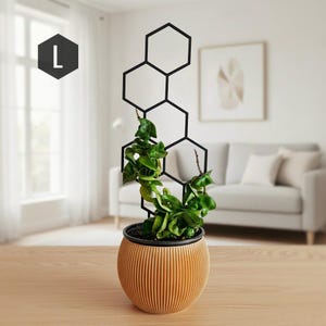 Könnte beinhalten: Eine Topfpflanze mit einem schwarzen geometrischen Spalier. Die Pflanze befindet sich in einem runden, gerippten, hellbraunen Topf. Das Spalier ist schwarz und hat ein sechseckiges Design. Die Pflanze hat grüne Blätter und steht auf einem Holztisch.