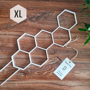 Honeycomb Indoor Houseplant Trellis, Indoor Plant Support, Trellis For Indoor Plants, XL Size, White Trellis, 3D Printed