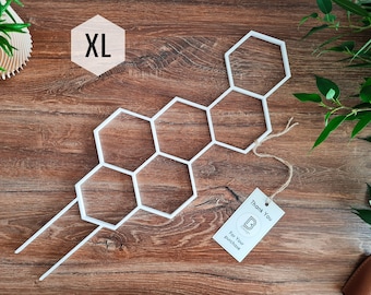 Honeycomb Indoor Houseplant Trellis, Indoor Plant Support, Trellis For Indoor Plants, XL Size, White Trellis, 3D Printed