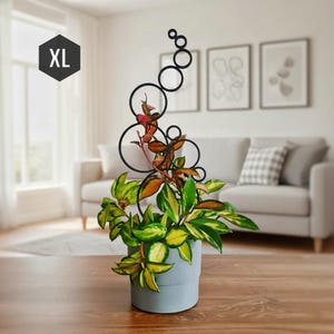 Traliccio circolare per piante da interno, traliccio per piante da interno, decorazione per piante da interno, tutore per piante, taglia XL, traliccio nero, stampato in 3D