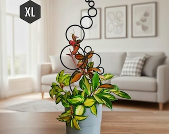Circle Indoor Houseplant Trellis, Plant Trellis For Indoor Plant, Indoor Plant Decoration, Plant Stake, XL Size, Black Trellis, 3D Printed