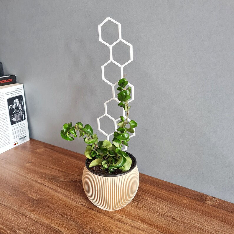 Indoor Houseplant Trellis Indoor Plant Support Etsy