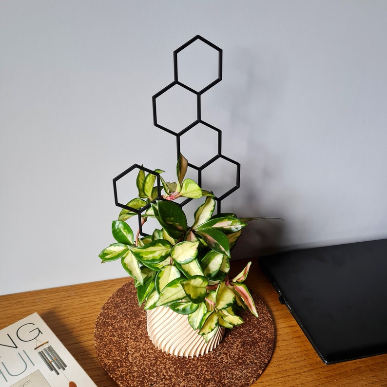 Treillis pour plante d'intérieur en nid d'abeille, Support pour plante d'intérieur, Treillis pour plantes grimpantes, Taille XL, Treillis noir, Imprimé 3D image 2
