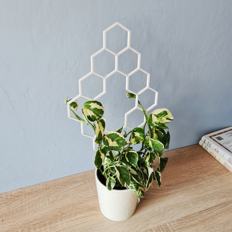 Indoor Houseplant Trellis Plant Trellis for Indoor Etsy