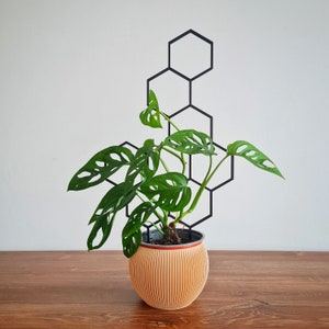 Treillis pour plante d'intérieur en nid d'abeille, Support pour plante d'intérieur, Treillis pour plantes grimpantes, Taille XL, Treillis noir, Imprimé 3D image 3