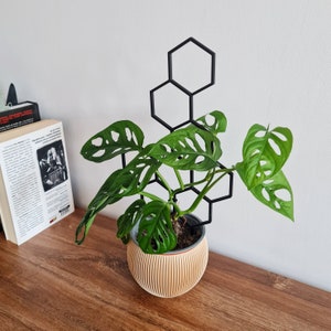 Honeycomb Indoor Plant Trellis, Indoor Houseplant Support, Trellis For Climbing Plants, XL Size, Black Trellis, 3D Printed image 5