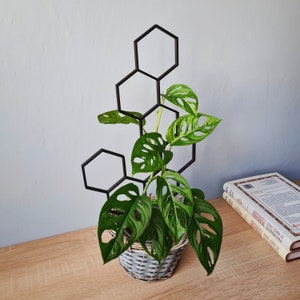 Honeycomb Indoor Plant Trellis, Indoor Houseplant Support, Trellis For Climbing Plants, XL Size, Black Trellis, 3D Printed image 4