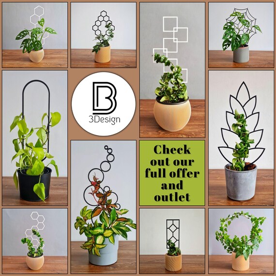 wohnzimmer zimmerpflanzen Blattschmuck-Zimmerpflanzen (3er Set) kaufen
