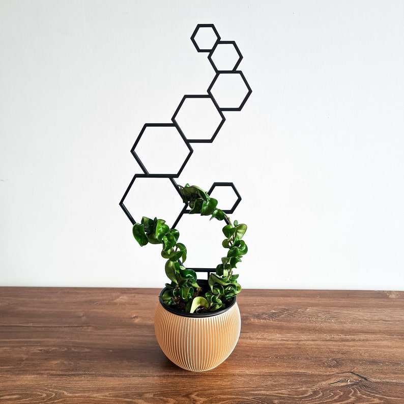 Indoor Houseplant Trellis Indoor Plant Stake Etsy