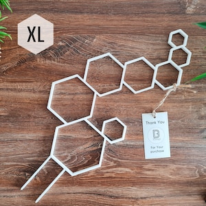 Honeycomb Indoor Houseplant Trellis, Plant Trellis For Indoor Plant, Plant Support Stake, XL Size, White Trellis, 3D Printed