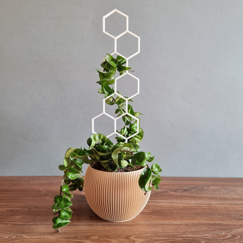 Indoor Houseplant Trellis Indoor Plant Support Etsy