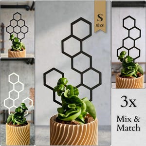 Può includere: Un traliccio per piante a forma di nido d'ape nero di piccole dimensioni, con un motivo esagonale geometrico. Il traliccio è inserito in un vaso cilindrico color marrone chiaro con coste verticali contenente una pianta verde. Appare il testo S size e 3x Mix & Match.