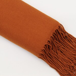 May include: A rust-colored scarf with long fringe on one end.