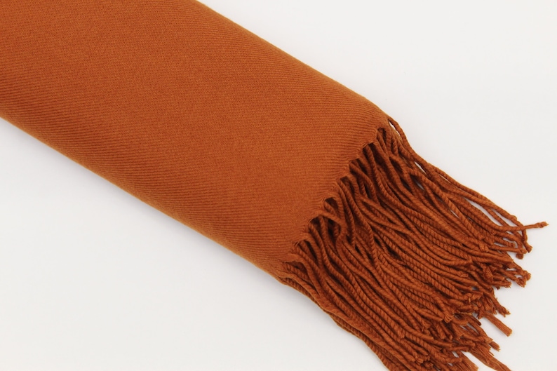 May include: A rust-colored scarf with long fringe on one end.