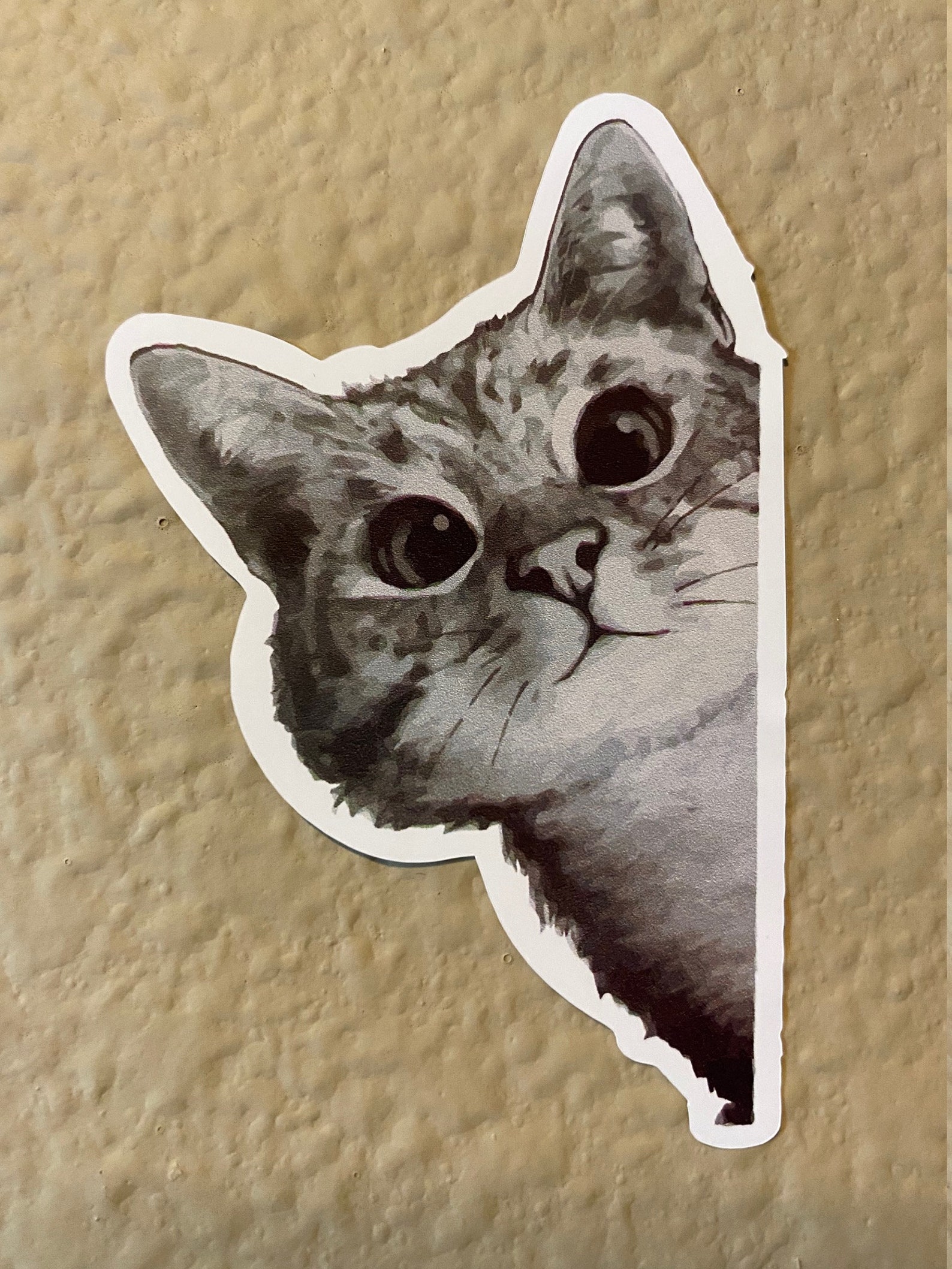 Cat Sticker Kitty Peeking Around Corner Etsy