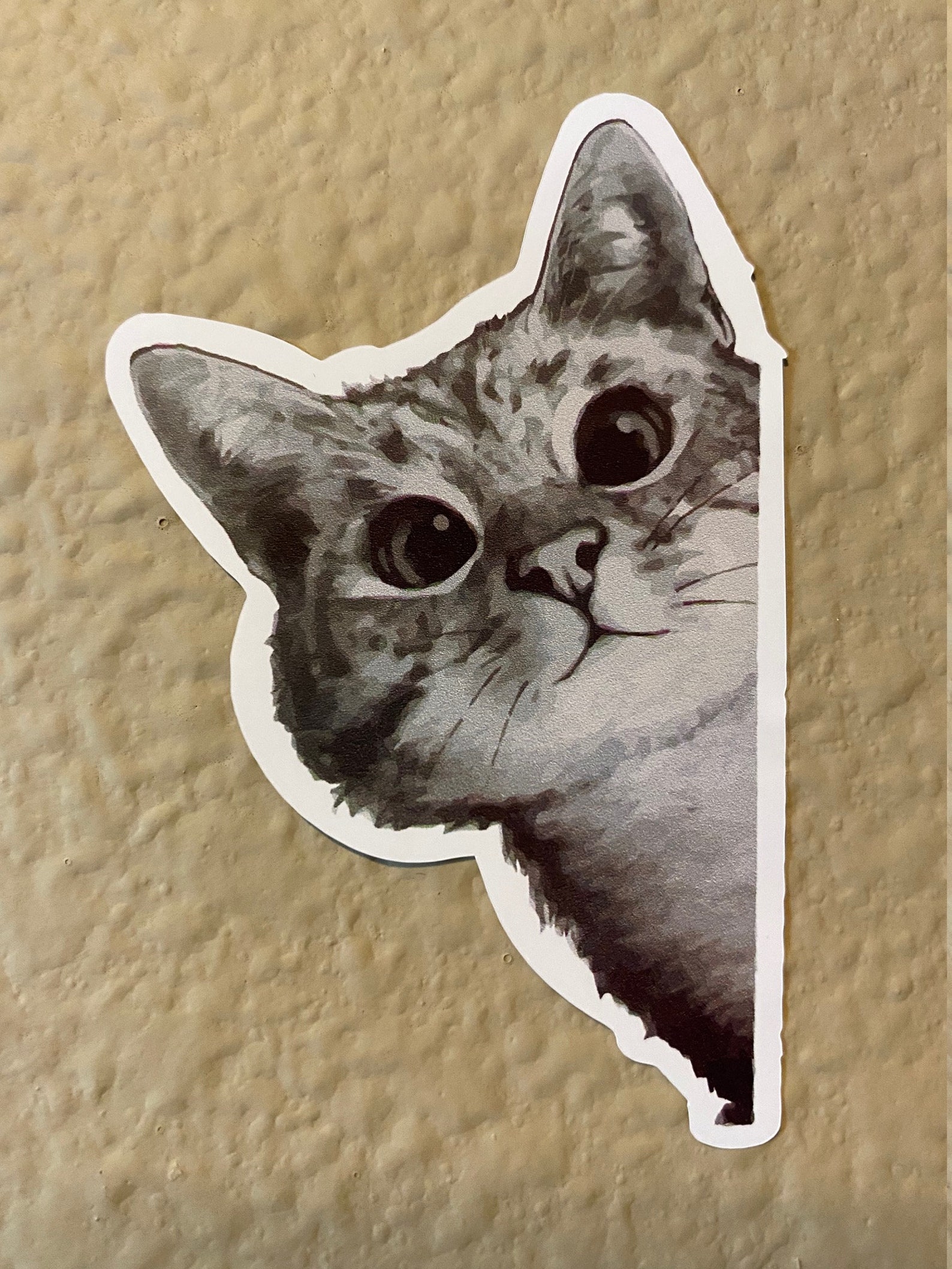 Printable Cat Face Prank