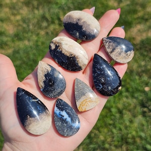 Fossilized Palm Root Cabochons, Palmroot Cabochons, Crystal Cabochons for Wire Wrapping