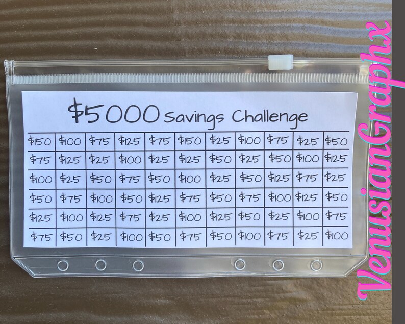 5000 Dollar Savings Challenge With Envelope | 5k | Budget Binder | Sinking Funds 