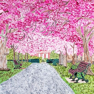May include: A pathway lined with pink cherry blossom trees leads to a building in the distance. Two benches are placed on either side of the path, inviting visitors to relax and enjoy the beautiful scenery.