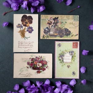 Lot de 4 cartes postales anciennes avec pensées et fleurs violettes | Fleurs éphémères vintage | Art botanique de collection