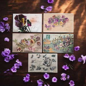 Lot de 5 cartes postales anciennes avec pensées et fleurs violettes | Fleurs éphémères vintage | Art botanique de collection