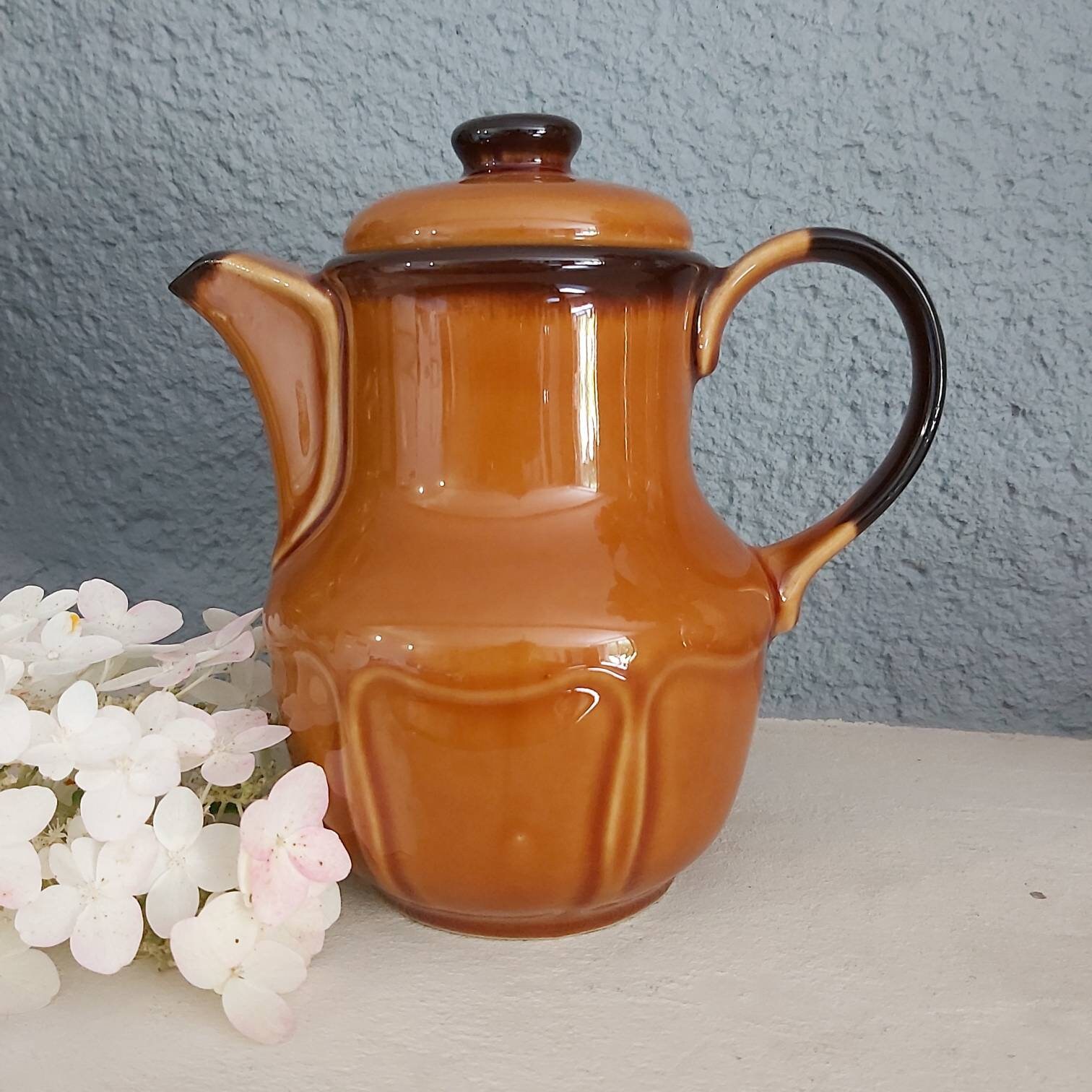 Pote Polonaise Pruszkow Pottery - Théière Fabriquée en Pologne. Design Minimaliste. Miel Brun 1970 P