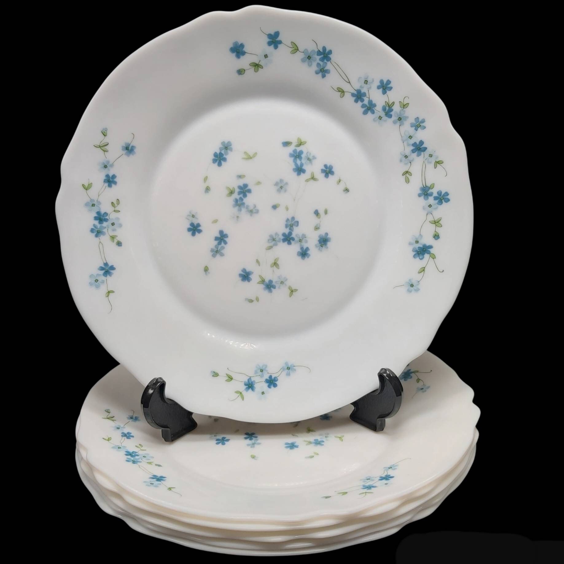 Ensemble de 6 Assiettes, Assiettes Plates, Motif Vintage Floral Veronica Myosotic Forget Me Not', Ve