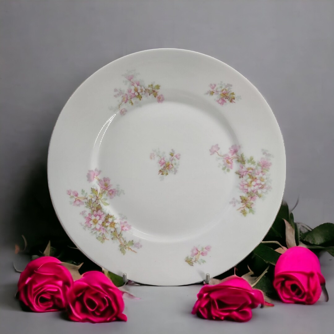 Ancienne UC Limoges Porcelaine Floral Luncheon Plate Porcelaine blanche