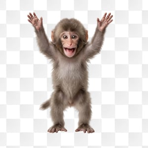Può includere: Immagine a figura intera di una scimmia macaco giapponese con le braccia alzate. La scimmia ha una pelliccia marrone, un viso rosa e sorride a bocca aperta. Lo sfondo è un motivo a scacchi trasparente.