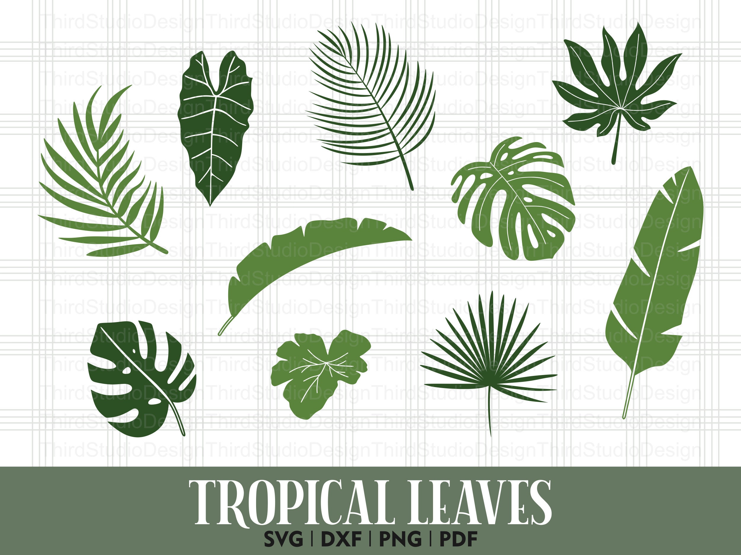 Tropical Leaves Svg Jungle Leaves Svg Bundle Monstera Leaf Etsy