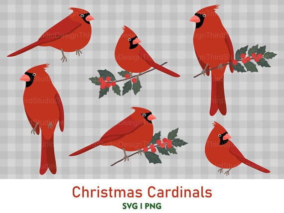 Cardinal Bird Svg Bundle Red Cardinal Svg Memorial Svg Etsy