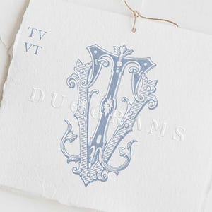 Könnte beinhalten: Ein blaues und weißes Monogramm mit den Buchstaben "TV" in einer dekorativen, verzierten Schriftart. Das Monogramm befindet sich auf einem weißen Hintergrund mit dem Text "DUOGRAMS" in einer kleineren Schriftart darunter.