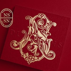 Könnte beinhalten: Ein goldfarbenes Monogramm mit den Buchstaben "NS" in einer dekorativen, verzierten Schriftart. Die Buchstaben sind mit floralen Designs verziert und auf einem roten Hintergrund platziert.