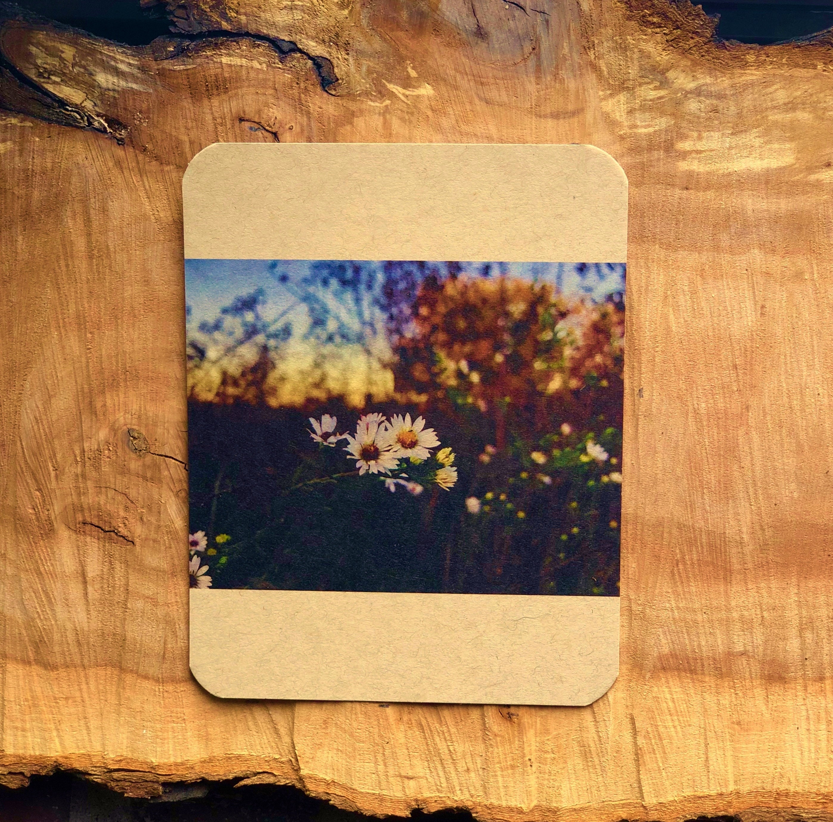 Nature inspired note card 4.25 x 5.5 with hand stamped Etsy