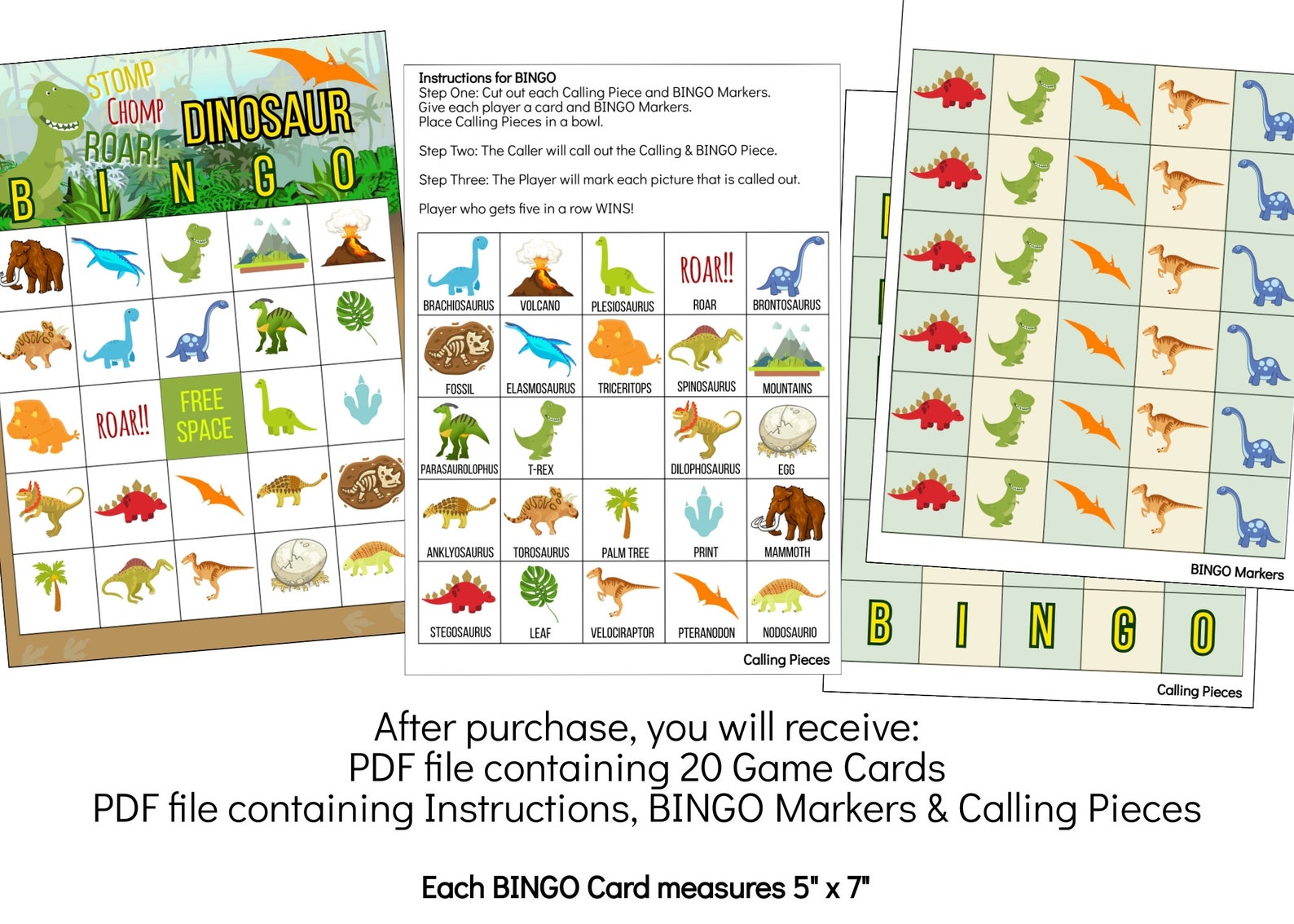 Dinosaur BINGO Game Dinosaur Party Game Boys Printable - Etsy