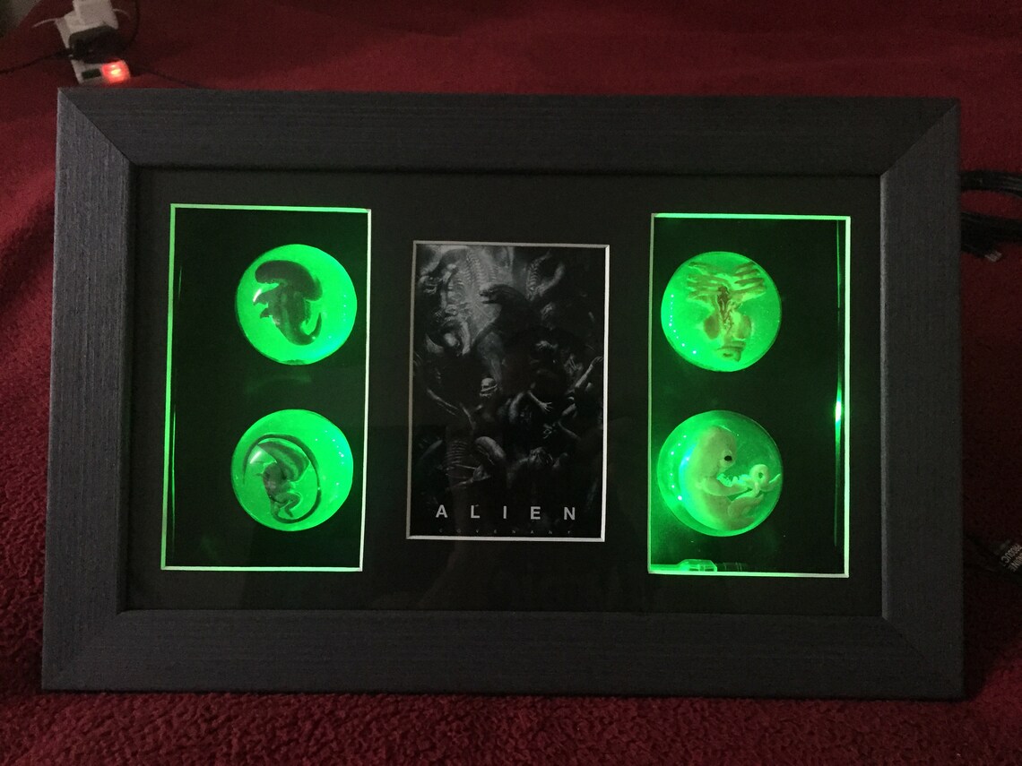 Alien Embryo set into large shadow box frame includes LED Etsy