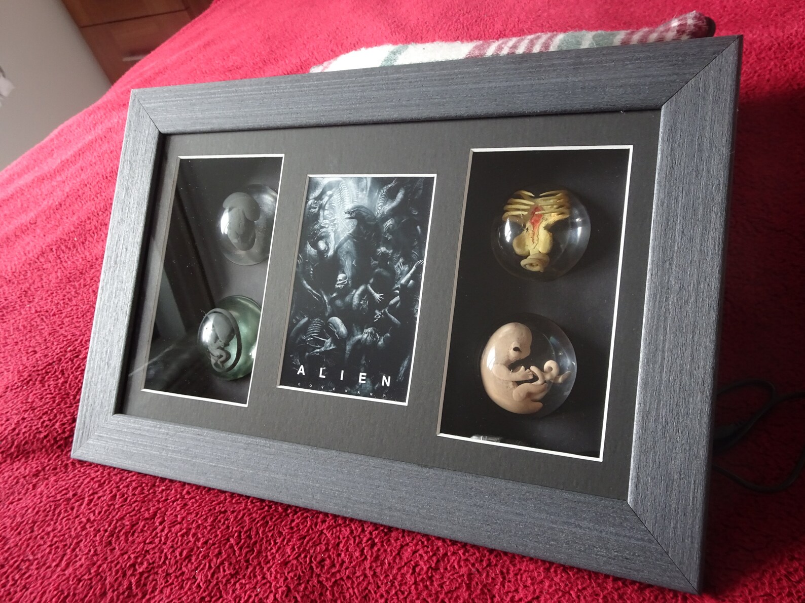 Alien Embryo set into large shadow box frame includes LED Etsy