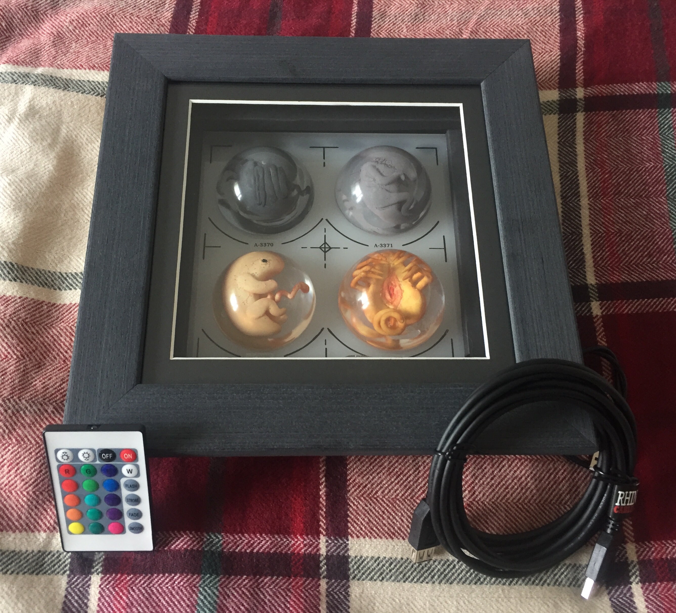 Alien Embryo set into large shadow box frame includes LED Etsy
