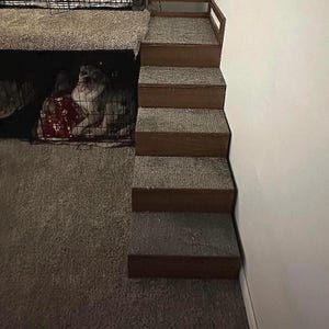 May include: A pet ramp with carpeted steps and wooden risers. The ramp leads up to a platform, and a pet crate is visible below. The steps are a neutral color, and the wall is white.