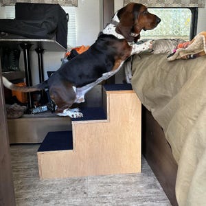May include: A Basset Hound dog stands on a wooden pet step, attempting to climb onto a bed. The steps are made of light-colored wood with dark blue carpeted treads. The dog has brown, black, and white markings.