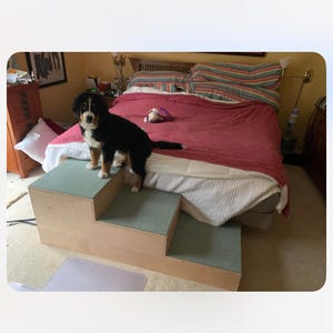 May include: A small, three-step wooden pet ramp with green carpeted steps. A black, brown, and white Bernese Mountain Dog puppy stands on the top step, looking towards the camera. The ramp is placed in front of a bed with a red comforter.