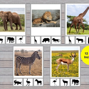 Safari Animal Shadow Clip Cards, Afbeelding naar silhouet afdrukbaar, Peuter Animal Matching, Preschool Game, Homeschool, Klaslokaal, Montessori