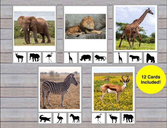 Safari Animal Shadow Matching Clip Cards: Printable Montessori Game (PDF)