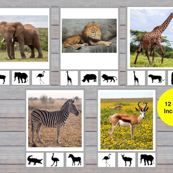 Safari Animal Shadow Clip Cards, Picture to Silhouette Printable, Toddler Animal Matching, Preschool Game, Homeschool, Classroom, Montessori