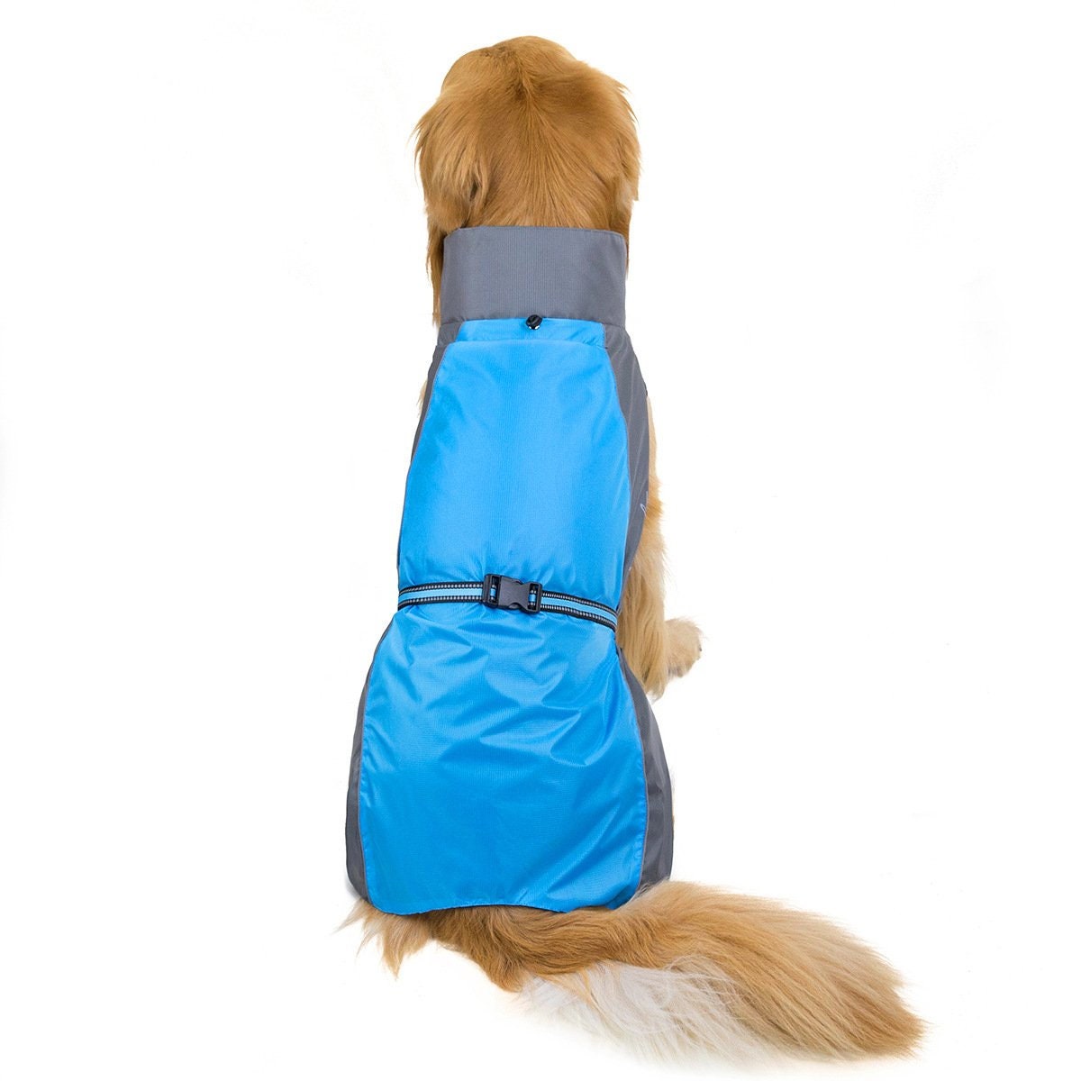 dog windbreaker jacket