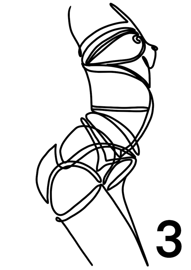 Erotic Art Bondage Artwork Line Drawing Rope Bondage - Etsy