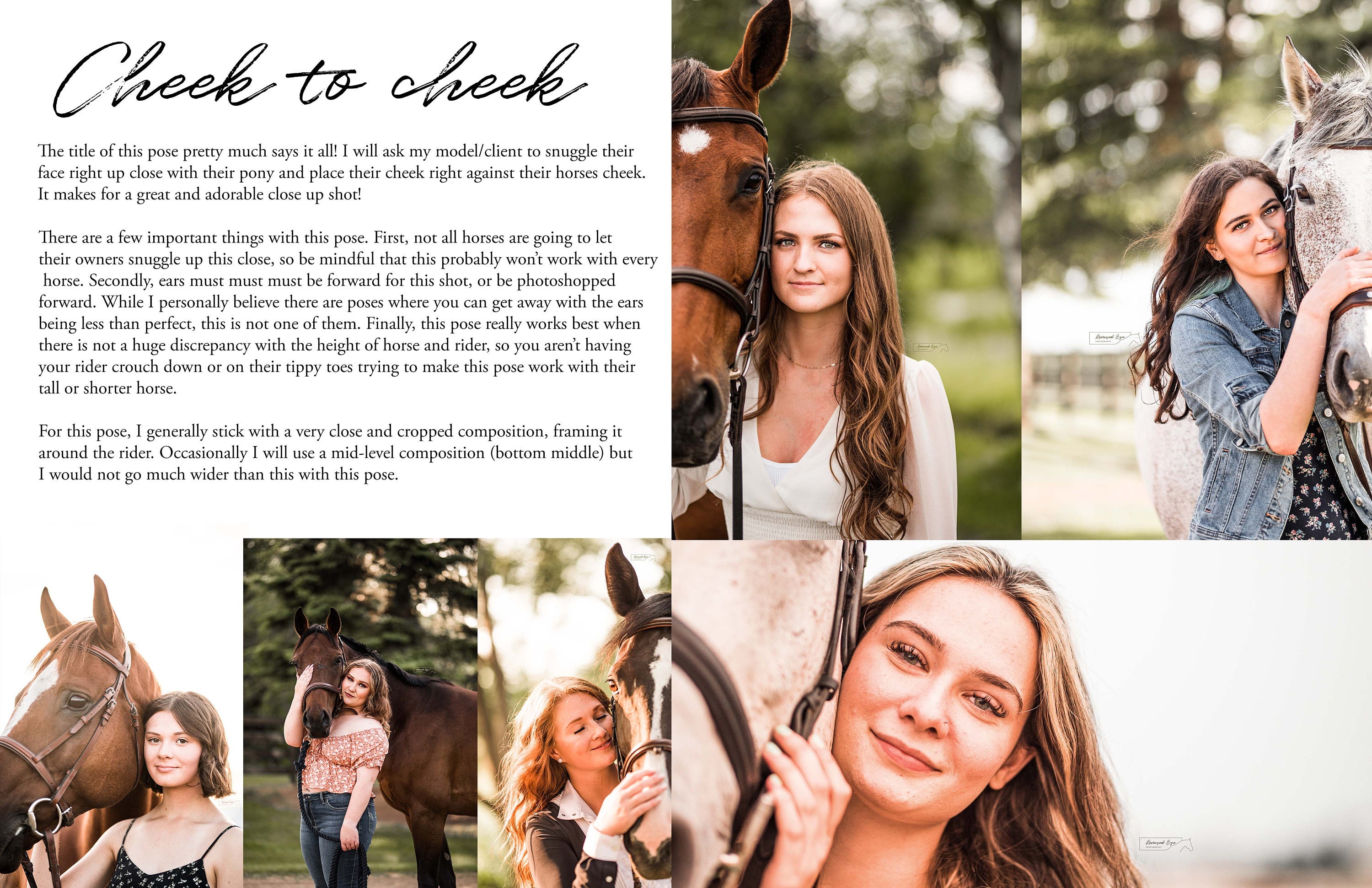 Horse & Rider Equine Photography Posing Guide - Etsy