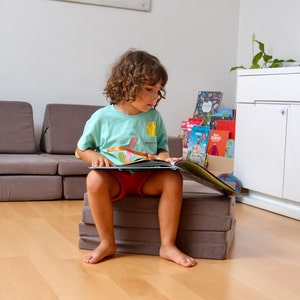 K&ouml;nnte beinhalten: Ein junges Kind sitzt auf einem braunen, mehrschichtigen Kissen und liest ein Buch. Das Buch ist ge&ouml;ffnet und die Seiten sind bunt. Das Kind tr&auml;gt ein hellblaues Shirt mit einem Tennisball-Motiv und rote Shorts.