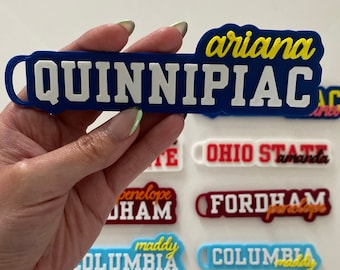 Personalized College Keychain: 3D Printed Backpack Tag